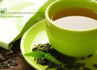 Govt R&D Vacancies for BSc/MSc @ Tocklai, Tea Research Association