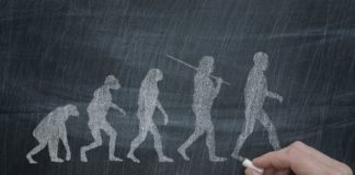 Why Not Evolve To Live Forever ? Scientists Find Out