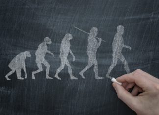 Why Not Evolve To Live Forever ? Scientists Find Out