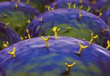 “Language” Of The Cells Decoded “Language” Of The Cells Decoded by the Researcher