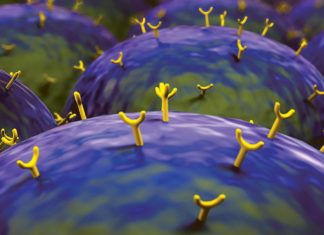 “Language” Of The Cells Decoded “Language” Of The Cells Decoded by the Researcher