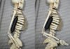 3D Printed Synthetic Tissue Akin To Natural Muscle Brings Us Closer To A Real Life Terminator