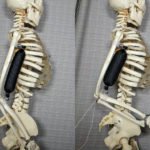 3D Printed Synthetic Tissue Akin To Natural Muscle Brings Us Closer To A Real Life Terminator