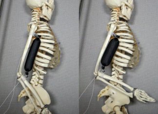 3D Printed Synthetic Tissue Akin To Natural Muscle Brings Us Closer To A Real Life Terminator