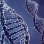 DNA Nanoscopy To Describe Molecules With High Precision DNA Nanoscopy To Describe Molecules With High Precision