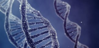 DNA Nanoscopy To Describe Molecules With High Precision