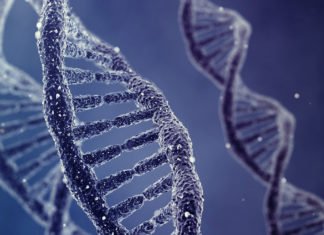 DNA Nanoscopy To Describe Molecules With High Precision