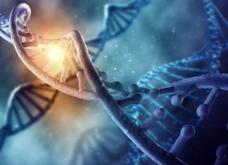 French Startup DNA Script Raises $13 Million in series financing