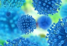 CRUK Awards University of Birmingham £1.5M to Pioneer Bowel Cancer Research CRUK Awards University of Birmingham £1.5M to Pioneer Bowel Cancer Research