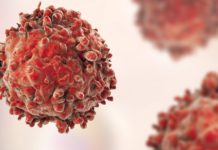 Synergistic Pathways Allow Researchers to Protect Animal Models from Cancer Cancer Research Program Project Posts Available @ NII