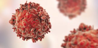 Cancer Research Program Project Posts Available @ NII