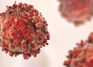 Researchers Uncover Advanced Cancer Resistance Pathway Cancer Research Program Project Posts Available @ NII
