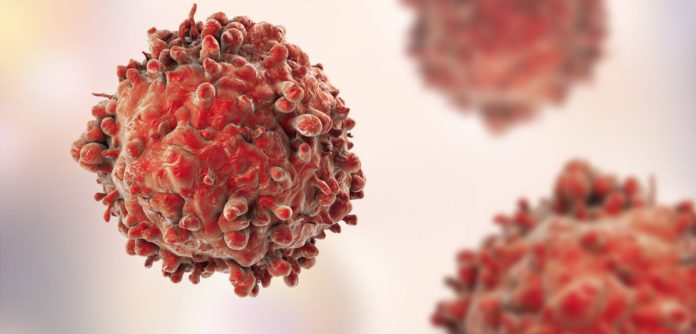 Cancer Research Program Project Posts Available @ NII