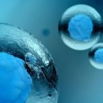 Genenta Raises $8M ,To Fund Research Of Hematopoietic Stem Cell
