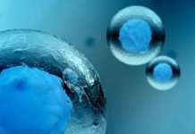 Genenta Science Raises $8M In Series B, To Fund Its Research Of Hematopoietic Stem Cell Use To Treat Cancer Genenta Raises $8M ,To Fund Research Of Hematopoietic Stem Cell