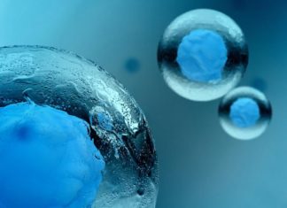 Genenta Science Raises $8M In Series B, To Fund Its Research Of Hematopoietic Stem Cell Use To Treat Cancer Genenta Raises $8M ,To Fund Research Of Hematopoietic Stem Cell