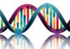 Genes Are Operated By “Nano Soccer Balls” New Study Discovers MSc & PhD Biosciences Research Vacancies @ BHU, Varanasi