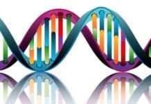 Genes Are Operated By “Nano Soccer Balls” New Study Discovers MSc & PhD Biosciences Research Vacancies @ BHU, Varanasi