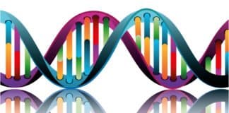MSc & PhD Biosciences Research Vacancies @ BHU, Varanasi