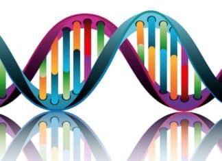 Genes Are Operated By “Nano Soccer Balls” New Study Discovers MSc & PhD Biosciences Research Vacancies @ BHU, Varanasi