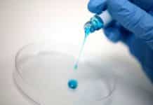 Gecko Gets EU Nod For Bio-Inspired Surgical Glue, Setalum Gecko Gets EU Nod For Bio-Inspired Surgical Glue, Setalum