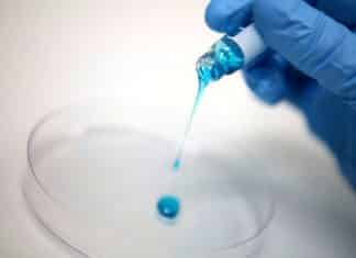 Gecko Gets EU Nod For Bio-Inspired Surgical Glue, Setalum