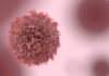 Lipid Regulating Enzyme Found To Hold Key To Alleviate Risks Of Cancer And Metabolic Diseases Lipid Regulating Enzyme Found To Hold Key To Alleviate Risks Of Cancer
