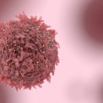 Lipid Regulating Enzyme Found To Hold Key To Alleviate Risks Of Cancer