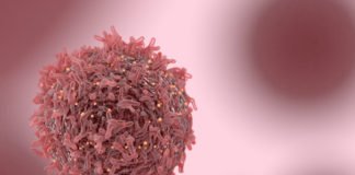 Lipid Regulating Enzyme Found To Hold Key To Alleviate Risks Of Cancer