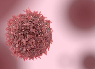 Lipid Regulating Enzyme Found To Hold Key To Alleviate Risks Of Cancer