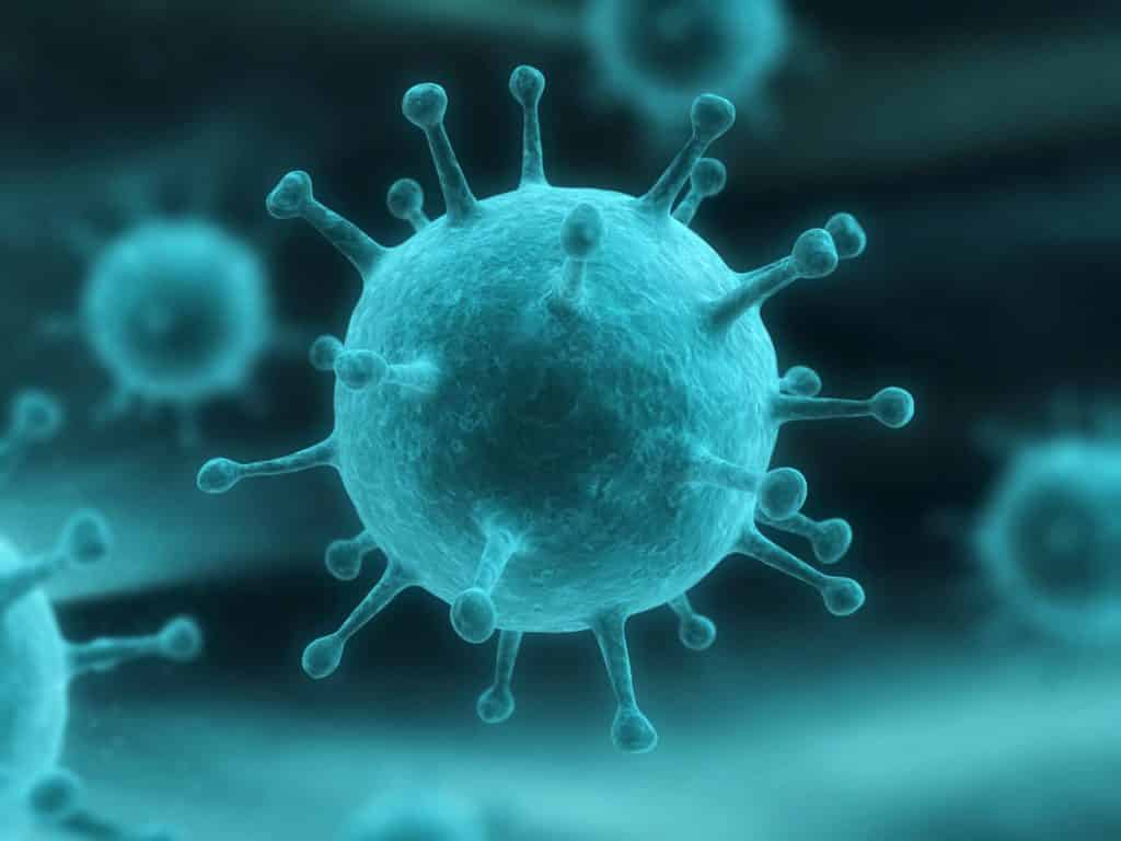 Flu Kill Pill Wipes off Viruses in 24 Hours