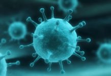 J&J, BARDA Partner On To Fight Influenza, Strike A Deal For Vaccine And Drug R&D