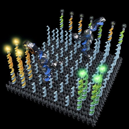 DNA Nanorobot That Picks, Sorts And Drops Off Molecular Cargo