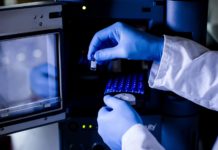 MIT Engineers Design Bio-Inspired Synthetic mRNA Delivery System