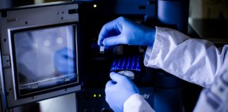 MIT Engineers Design Bio-Inspired Synthetic mRNA Delivery System
