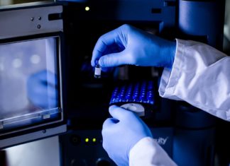 MIT Engineers Design Bio-Inspired Synthetic mRNA Delivery System