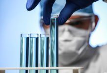 Mosquito Gut Flora Could Hold Key To Cutting Malaria Spread Mosquito Gut Flora Could Hold Key To Cutting Malaria Spread