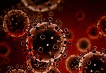 Celyad CAR-T Approach Clears Patient of Cancer in Phase 1 Celyad CAR-T Approach Clears Patient of Cancer in Phase 1