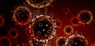 Celyad CAR-T Approach Clears Patient of Cancer in Phase 1