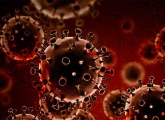 Celyad CAR-T Approach Clears Patient of Cancer in Phase 1
