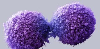 Labyrinth Collects Rare Circulating Cancer Cells To Treat Cancer