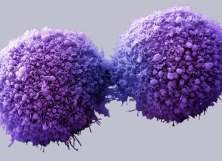 Labyrinth Collects Rare Circulating Cancer Cells To Treat Cancer