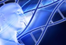 Salivary Microbiome Shaped By Shared Environment, Not Genetics Salivary Microbiome Shaped By Shared Environment, Not Genetics