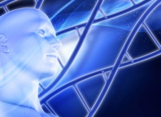 Salivary Microbiome Shaped By Shared Environment, Not Genetics