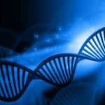 BSc Studentship & Traineeship Posts Vacant @ University of North Bengal