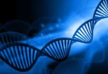 NIH Scientists Identify Genetic Culprit Impacting our Biological Clocks BSc Studentship & Traineeship Posts Vacant @ University of North Bengal