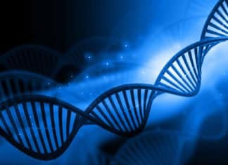 NIH Scientists Identify Genetic Culprit Impacting our Biological Clocks BSc Studentship & Traineeship Posts Vacant @ University of North Bengal