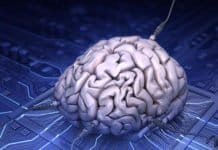 IBM Developing AI That One Day Might Rival The Human Brain