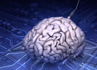IBM Developing AI That One Day Might Rival The Human Brain