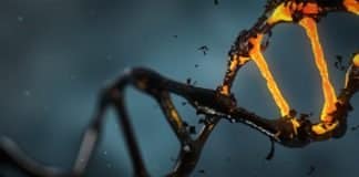 Scientists Reveal Cancer’s Sugary Secrets Through CRISPR